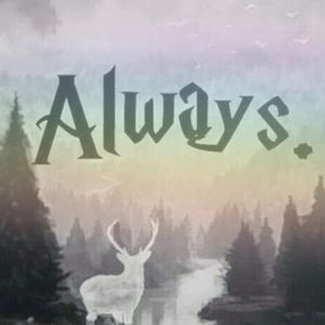 Meet your Posher, Franky